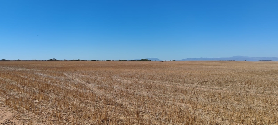 To Let 0 Bedroom Property for Rent in Hopefield Rural Western Cape